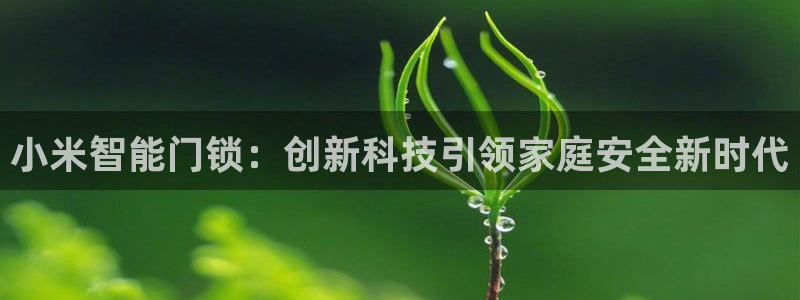 万利记加盟官网电话：小米智能门锁：创新科技引领家庭安全新时代