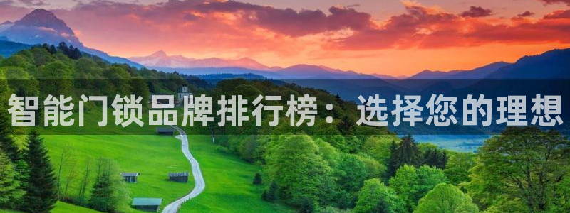 利记二手车行官网：智能门锁品牌排行榜：选择您的理想