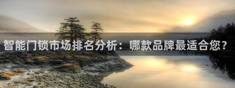 利记游戏官网：智能门锁市场排名分析：哪款品牌最适合您？