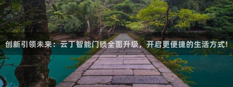 万利记官网电话：创新引领未来：云丁智能门锁全面升级，开启更便