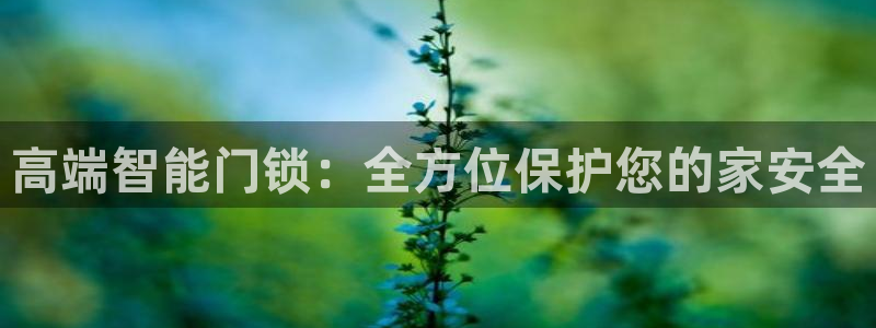 利记买球官网：高端智能门锁：全方位保护您的家安全