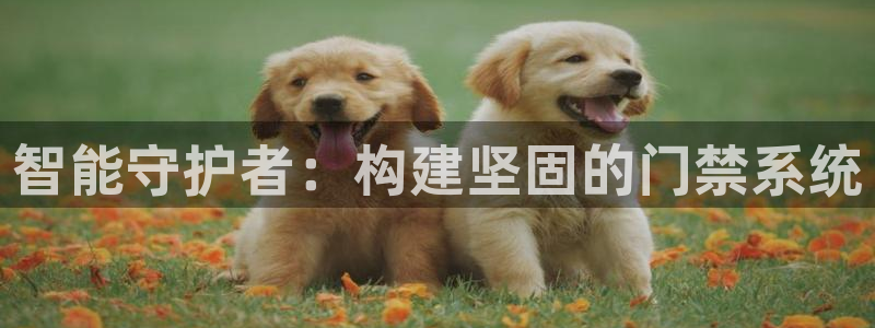 利记手机官网葡京备用：智能守护者：构建坚固的门禁系统