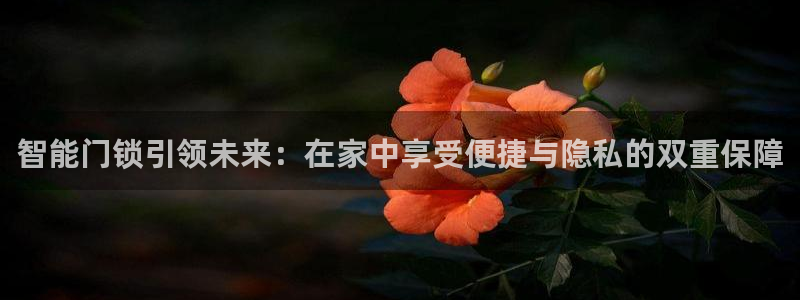 利记官网官方网址：智能门锁引领未来：在家中享受便捷与隐私的双