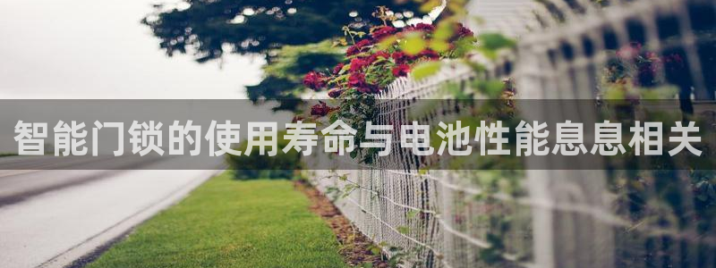 利记官网会员登录：智能门锁的使用寿命与电池性能息息相关