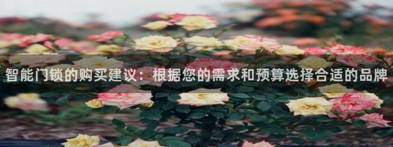 利记彩票网网址官网hd71：智能门锁的购买建议：根据您的需求