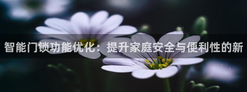 利记官网是多少：智能门锁功能优化：提升家庭安全与便利性的新