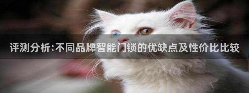 利记坊官网注册账号：评测分析:不同品牌智能门锁的优缺点及性价