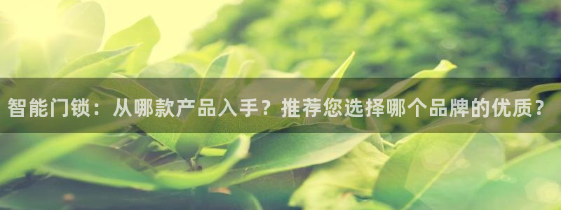 香港利记集团官网：智能门锁：从哪款产品入手？推荐您选择哪个品