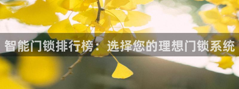 利记官网会员登录：智能门锁排行榜：选择您的理想门锁系统