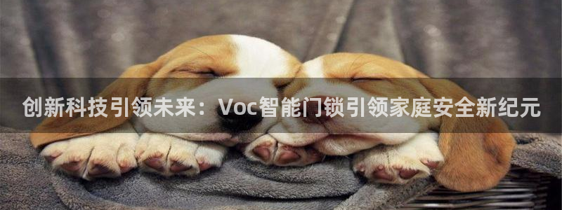 利记手机官网bb电子平台官方：创新科技引领未来：Voc智能门