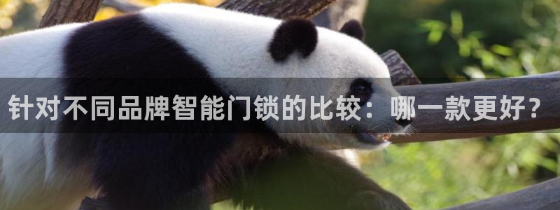 香港利记集团官网旗舰店