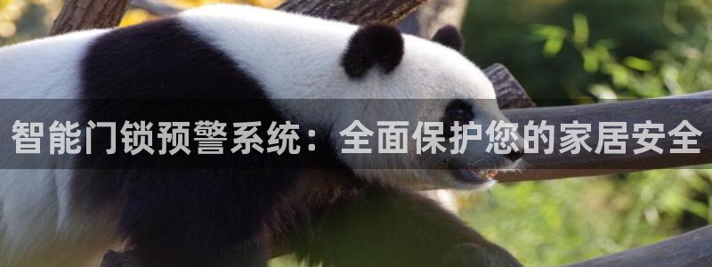 香港利记lee kee集团官网：智能门锁预警系统：全面保护您