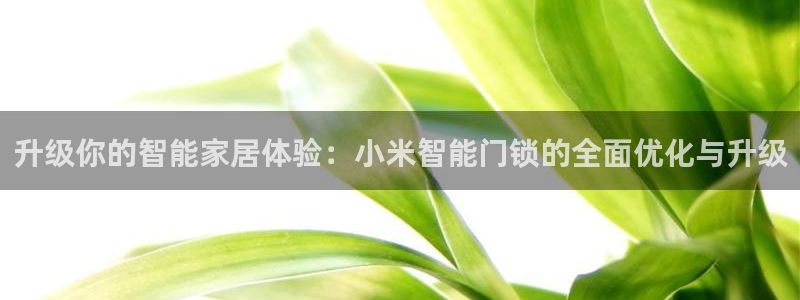 利记手机官网：升级你的智能家居体验：小米智能门锁的全面优化与