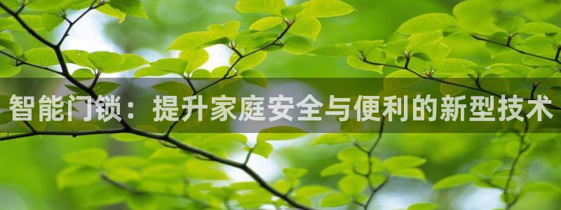 利记官网a：智能门锁：提升家庭安全与便利的新型技术