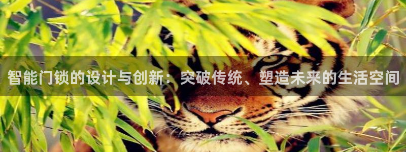 香港利记lee kee集团官网：智能门锁的设计与创新：突破传
