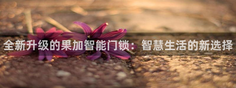 利记官网登录：全新升级的果加智能门锁：智慧生活的新选择