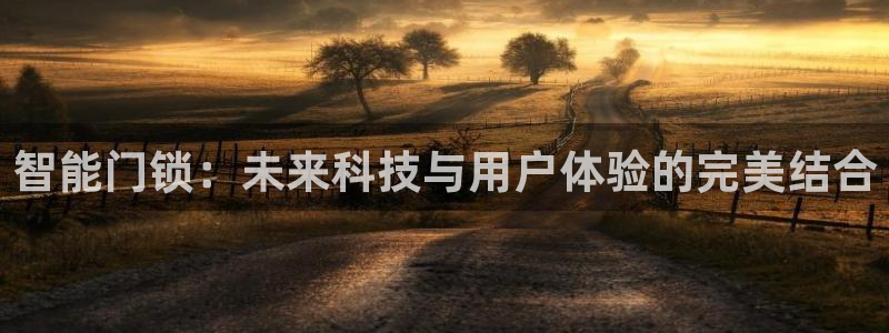 利记官网入口：智能门锁：未来科技与用户体验的完美结合