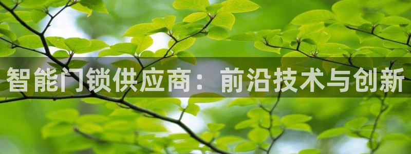 利记坊平台唯一官网：智能门锁供应商：前沿技术与创新