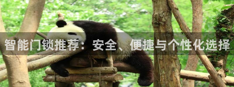 188bet注册利记官网app：智能门锁推荐：安全、便捷与个
