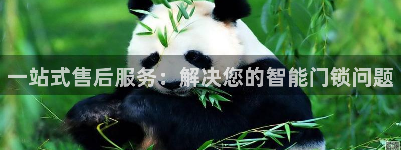 利记 利记官网：一站式售后服务：解决您的智能门锁问题