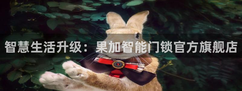 利记官网是什么：智慧生活升级：果加智能门锁官方旗舰店