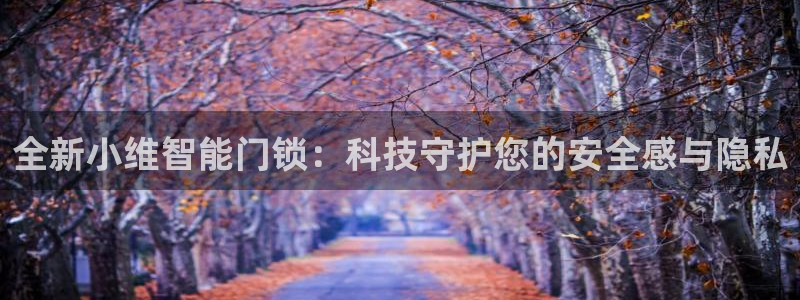 利记app官网：全新小维智能门锁：科技守护您的安全感与隐私