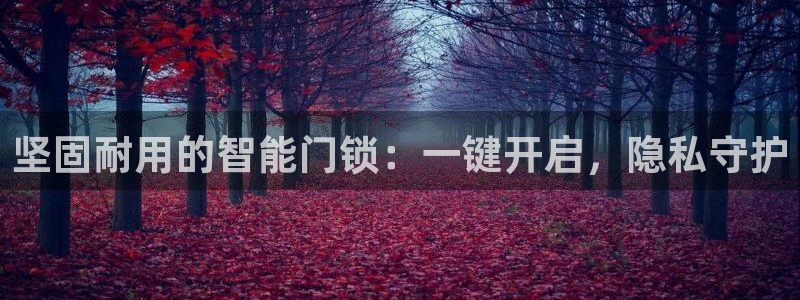 利记投注平台官网：坚固耐用的智能门锁：一键开启，隐私守护