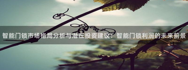sbo利记体育官网：智能门锁市场格局分析与潜在投资建议：智能