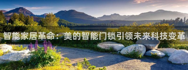 sbotop利记官网：智能家居革命：美的智能门锁引领未来科技