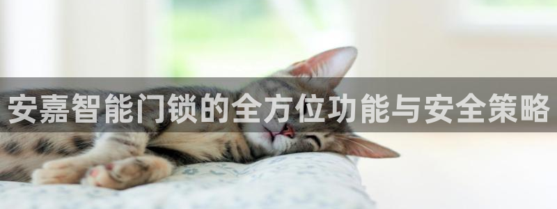 利记官网注册：安嘉智能门锁的全方位功能与安全策略