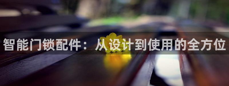 利记体育官网：智能门锁配件：从设计到使用的全方位