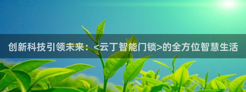 利记官网官方网站：创新科技引领未来：<云丁智能门锁>的全方位