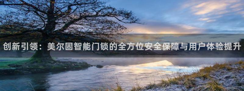 利记游戏官网：创新引领：美尔固智能门锁的全方位安全保障与用户