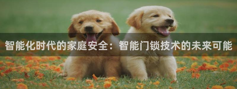 利记手机官网银河网：智能化时代的家庭安全：智能门锁技术的未来