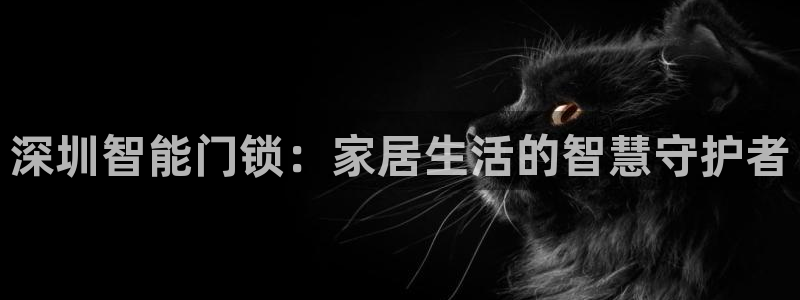 利记科技有限公司官网：深圳智能门锁：家居生活的智慧守护者