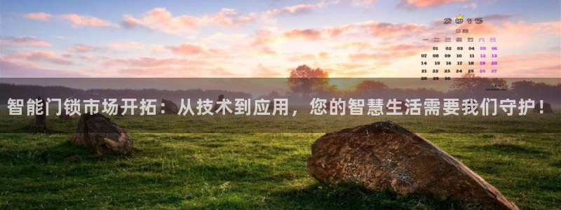利记真的官网：智能门锁市场开拓：从技术到应用，您的智慧生活需