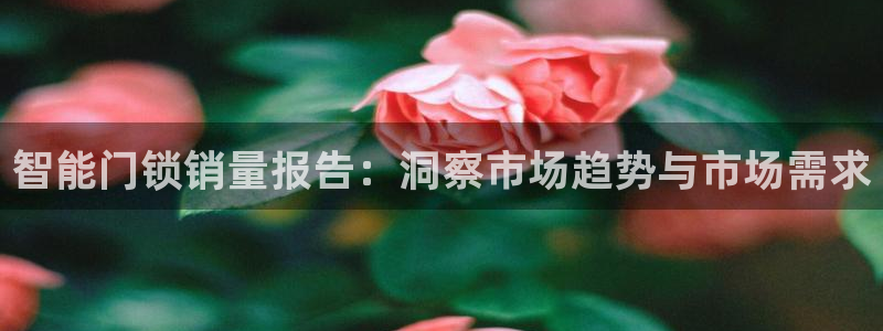 利记国际线址官网：智能门锁销量报告：洞察市场趋势与市场需求