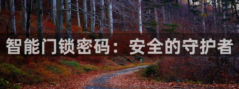 万利记菜单价格查询官网：智能门锁密码：安全的守护者
