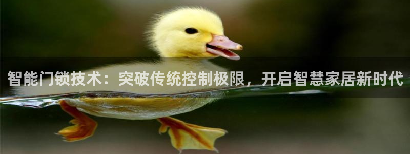 利记彩票官网网址官网hd71：智能门锁技术：突破传统控制极限