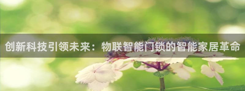 利记现场官网：创新科技引领未来：物联智能门锁的智能家居革命