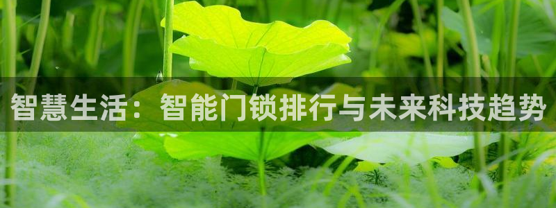 利记app官网入口：智慧生活：智能门锁排行与未来科技趋势