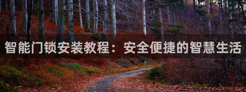 利记官网会员登录：智能门锁安装教程：安全便捷的智慧生活