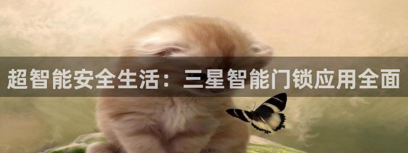 利记官网登录：超智能安全生活：三星智能门锁应用全面