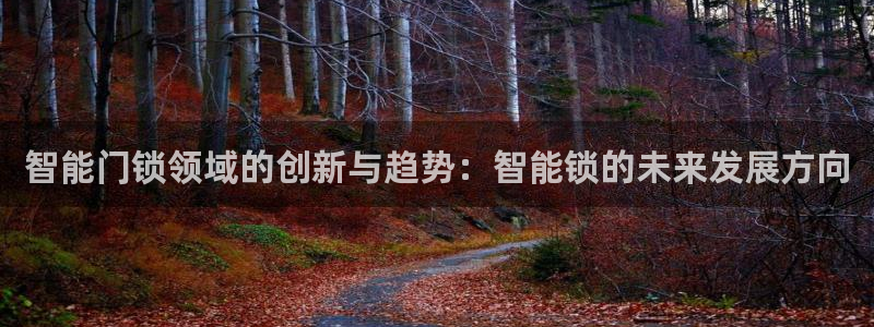 利记官网app下载网址日博官网网址：智能门锁领域的创新与趋势