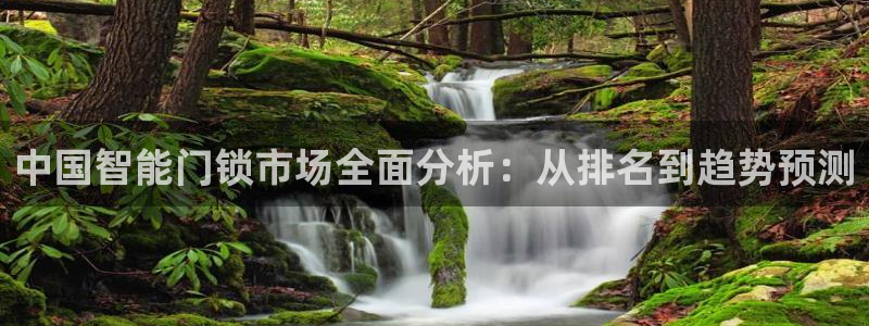 利记官网登录：中国智能门锁市场全面分析：从排名到趋势预测