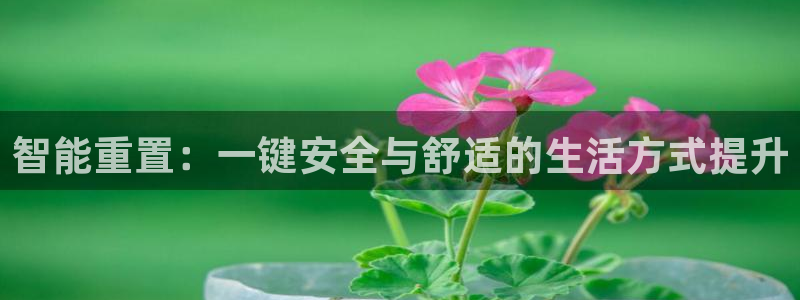 利记官网是真的吗：智能重置：一键安全与舒适的生活方式提升