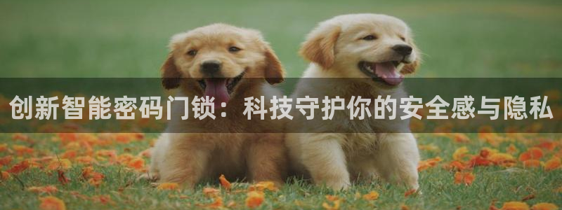 利记官网是多少：创新智能密码门锁：科技守护你的安全感与隐私