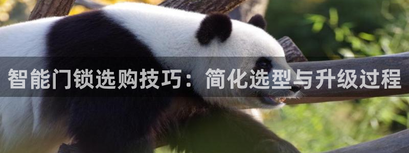 利记体育官网：智能门锁选购技巧：简化选型与升级过程