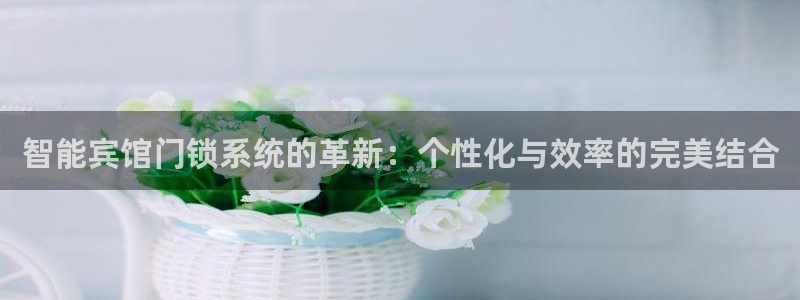 利记官网香菜1：智能宾馆门锁系统的革新：个性化与效率的完美结