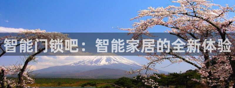sbotop利记官网：智能门锁吧：智能家居的全新体验